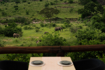 Elewana Serengeti Migration Camp: Elefanten beim Camp