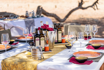 Hoodia Desert Lodge: Lunch im Freien