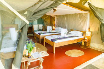 Ikoma Tented Camp: Bett mit Handtüchern und Blütenblättern