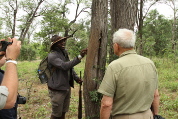 Kanga Camp: Guide beim Ausflug