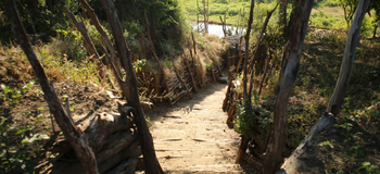 Kavinga Safari Camp: Weg zum Beobachtungsversteck