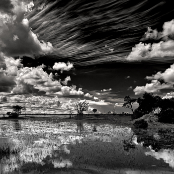 Konkamoya Lodge: Schwarz-weiße Landschaft