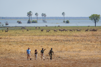 Kuthengo Camp: Walking Safari