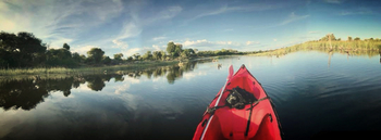 Leopard Plains: Kanurevier Boteti River