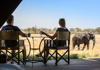 Little Machaba Camp: Drinks