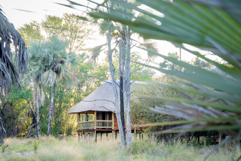 Nata Lodge Nata Lodge: Luxury Chalet - Auf Stelzen