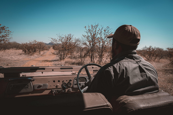 Ohorongo: Game Drive