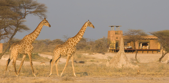 Onguma The Fort: Bush Suites