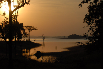 Pench National Park: Am Totladoh Dam