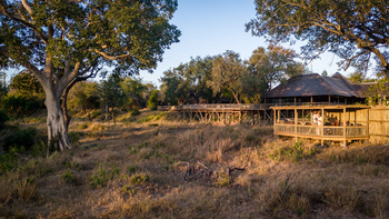 Sabi Sabi Bush Lodge: Gäste beobachten Natur von Holzdeck