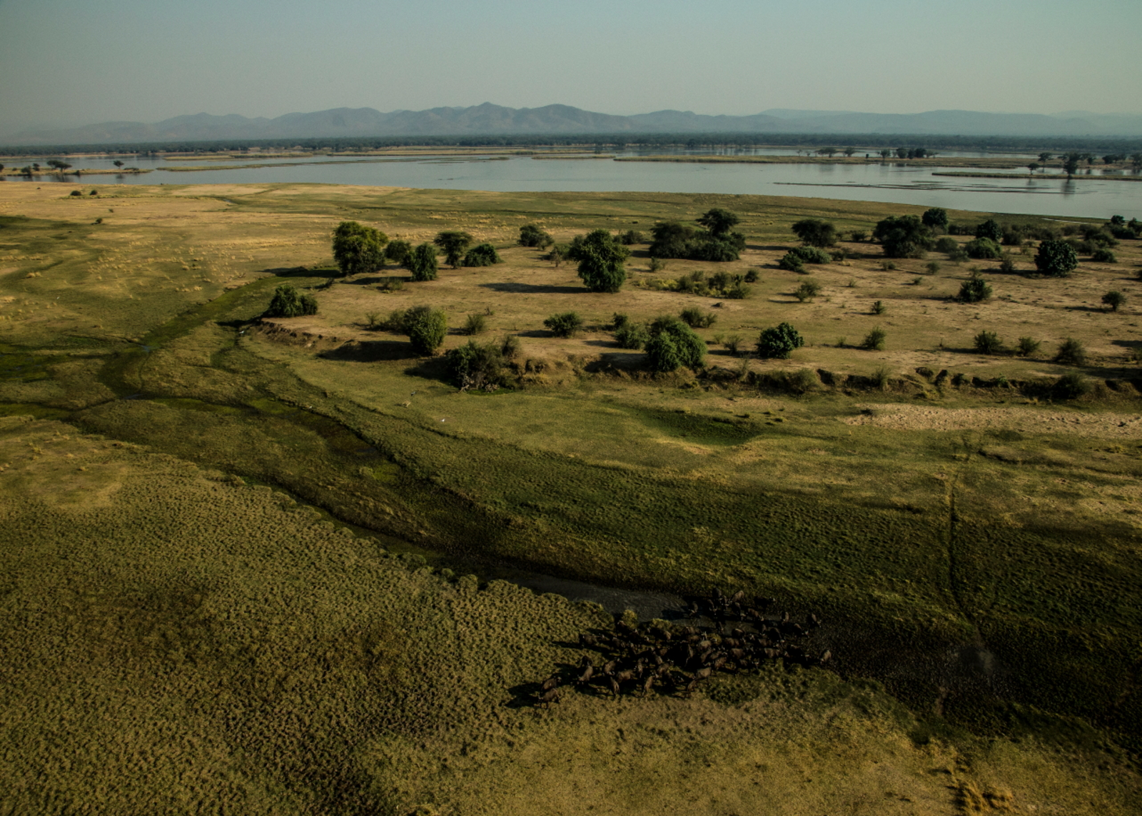 Sapi Explorers Camp Sapi Explorers Camp