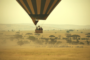Serengeti Bushtops: Ballonfahrt