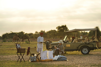 Sujan The Serai: Picknick auf Safari