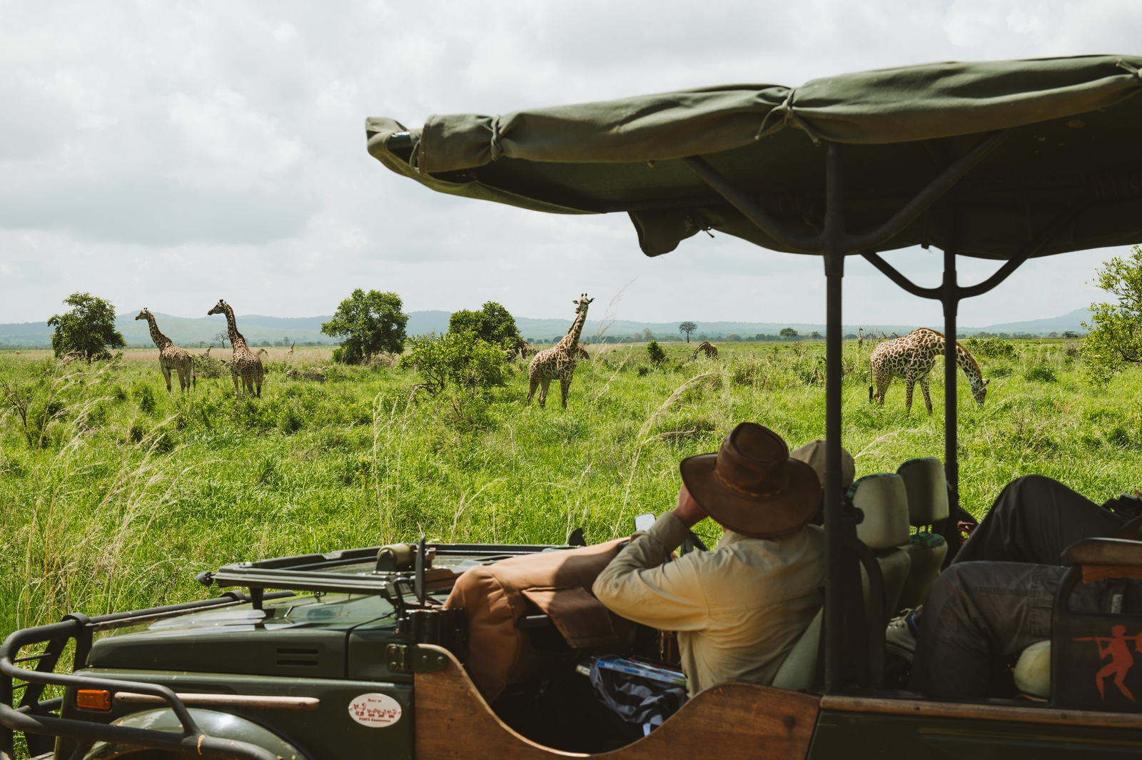 Vuma Hills Tented Camp Vuma Hills Tented Camp: Giraffen