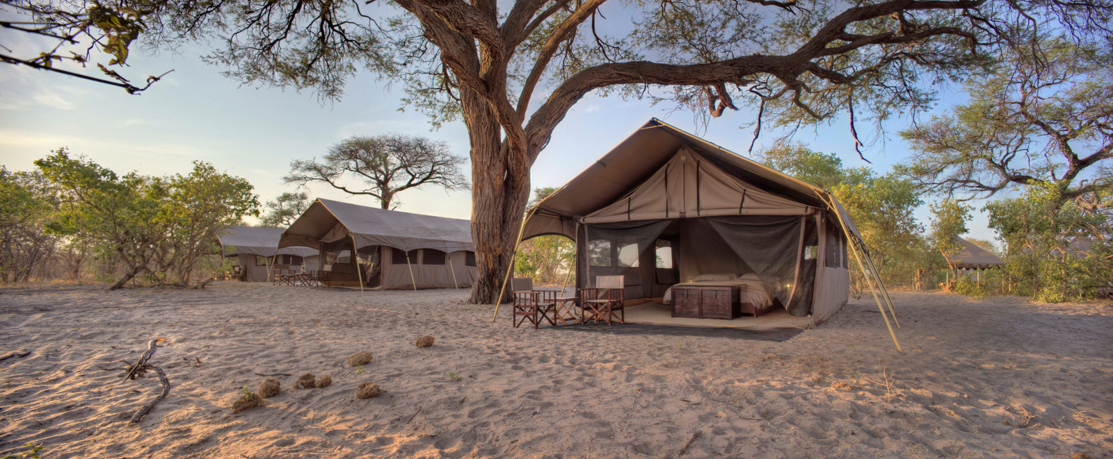 andBeyond Savute under Canvas andBeyond Savute under Canvas: Zelte unter Bäumen