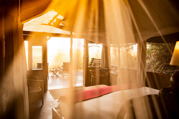 Busanga Bush Camp: Zelt mit Tür