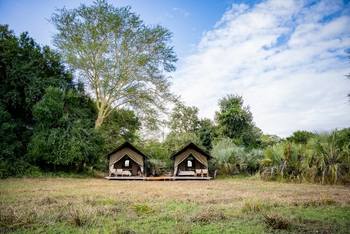 Chicari Camp: Treehide Safari Tent