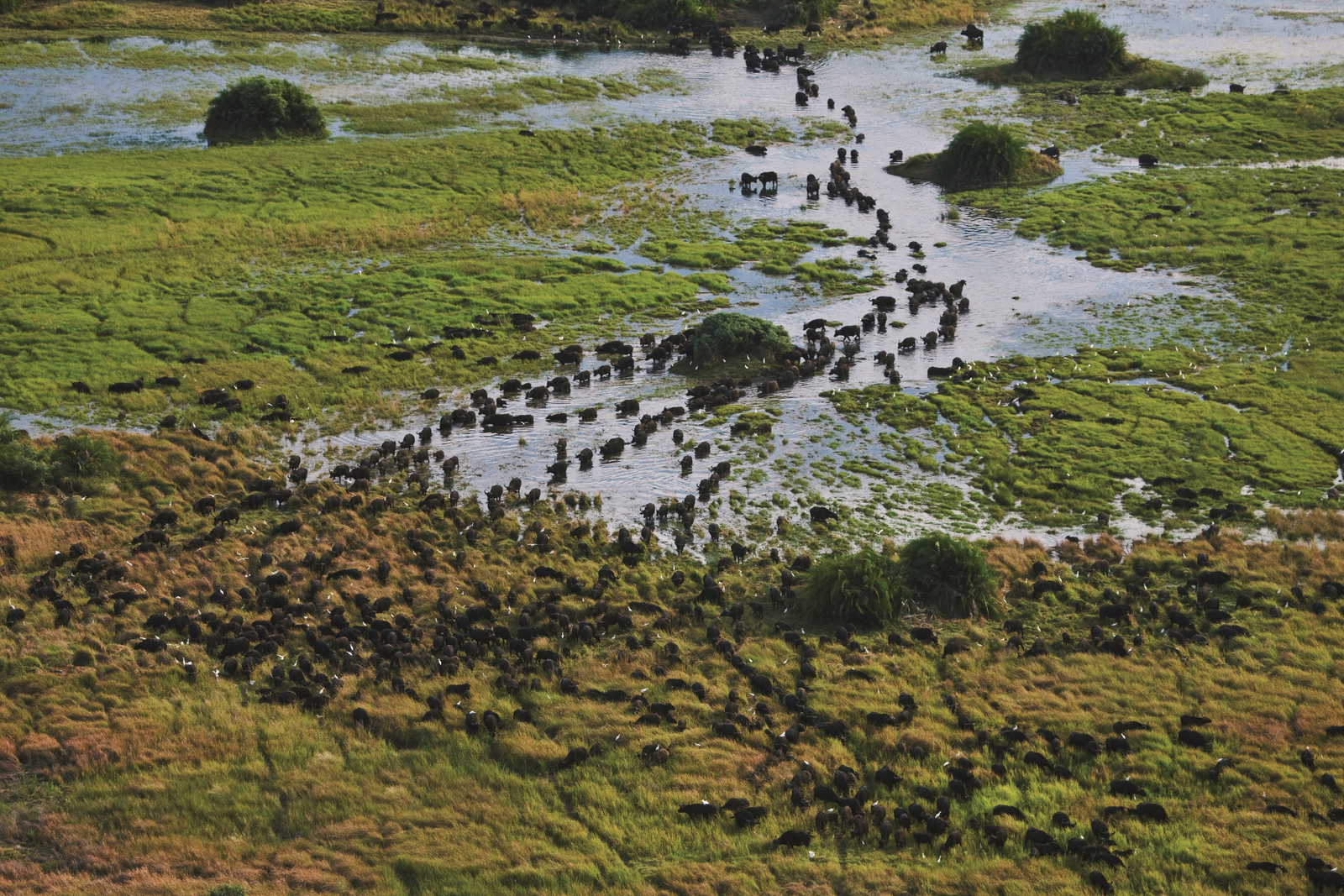 Duba Explorers Camp Duba Explorers Camp: Luftaufnahme Game Drive