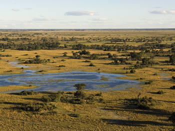Duba Plains Camp: Schwemmebene