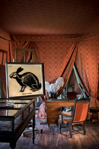 Jacks Camp Jacks Camp: Details im Zentralbereich