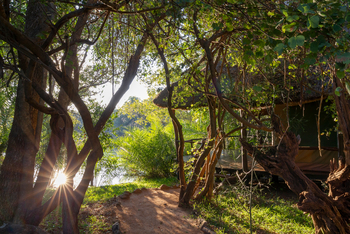 KaingU Safari Lodge: Zugan zu einem Chalet