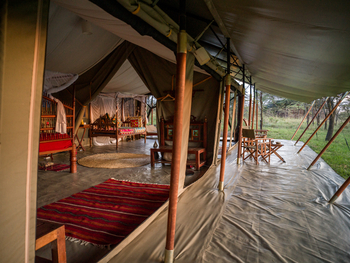Kandili Camp: Suite