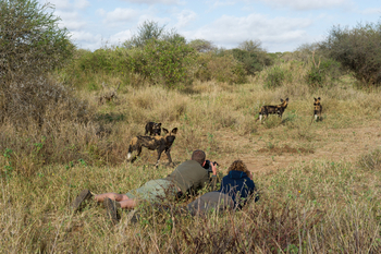 Laikipia Wilderness Camp: Mann fotografiert Wildtiere