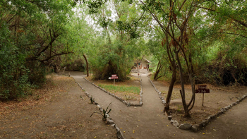 Lake Natron Tented Camp: Beschilderte Pfade in dichter Buschlandschaft