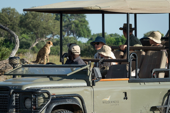 Little Vumbura Camp: Game Drive