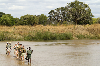 Luangwa Bush Camping Luangwa Bush Camping: Walking Safari