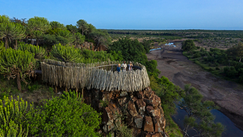 Mashatu Euphorbia Villas Mashatu Euphorbia Villas: The Nest
