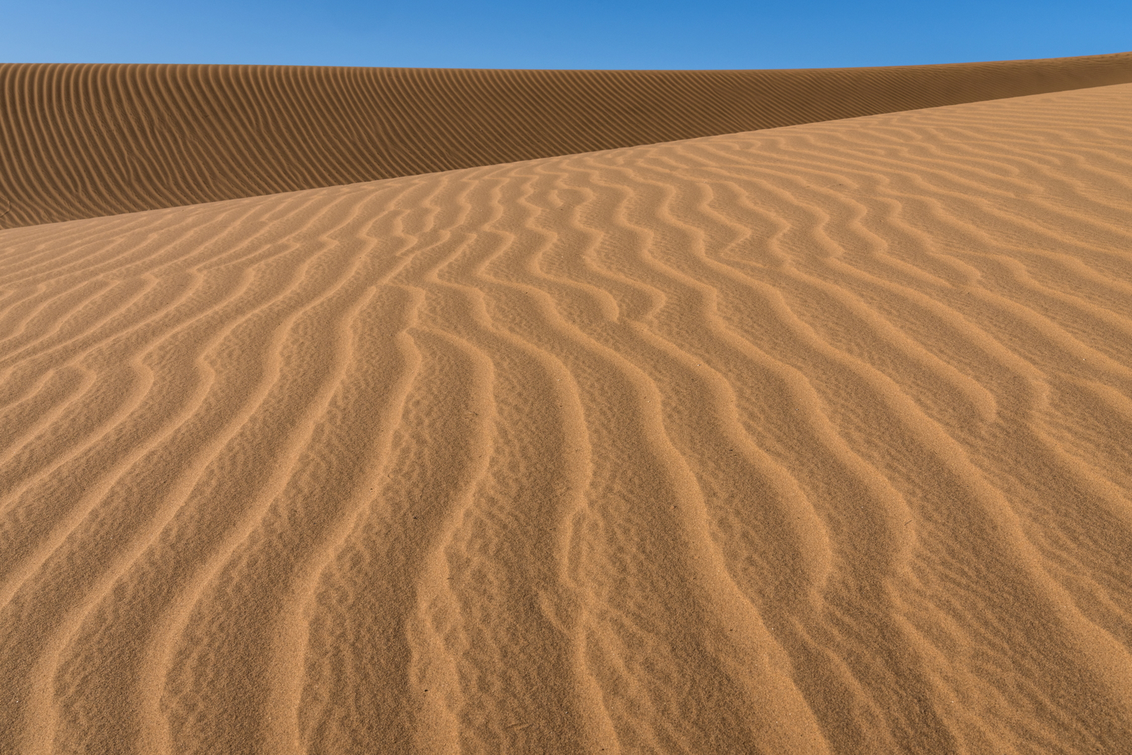 Mowani Mountain Camp Mowani Mountain Camp: Dünen