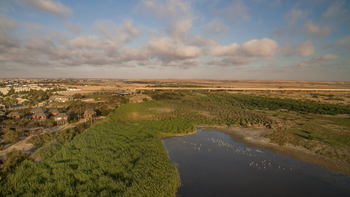 The Stiltz: Swakop-Lagune