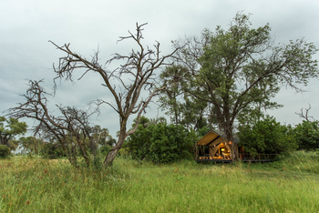 Gomoti Plains Camp: Gästezelte