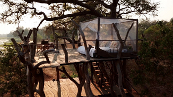 John's Camp John's Camp: Sleep-out Platform