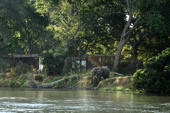 Lolebezi Safari Lodge: Elefant vor einer Suite