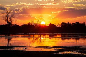 Machaba Camp: Sonnenuntergang