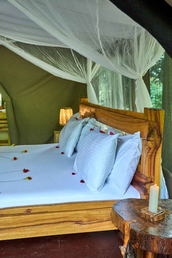 Migunga Tented Camp: Schlafzimmer mit Holzrahmenbett und Blütenblättern