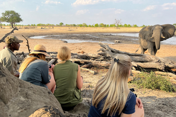 Muddy Teak Camp: Elefant und Gäste am Wasser