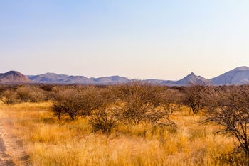 Ondudu Safari Lodge Ondudu Safari Lodge: Sunset Drive