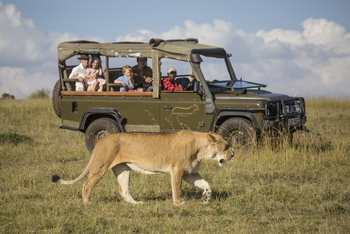 Richard's River Camp: Game Drive