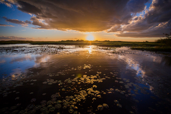 Shoebill Island Camp Shoebill Island Camp: Abendsonne