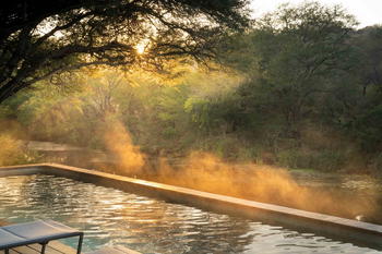 Singita Sweni Lodge: Poolliege am Infinity Pool im goldenen Morgenlicht
