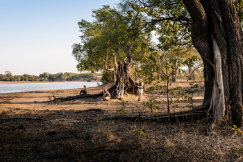 Sungani Lodge: Walking Safari