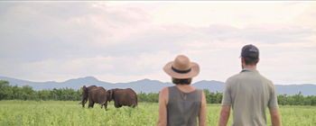 Changa Safari Camp: Walking Safari