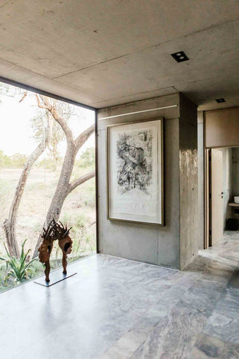 Cheetah Plains Mapogo House: Viel Kunst