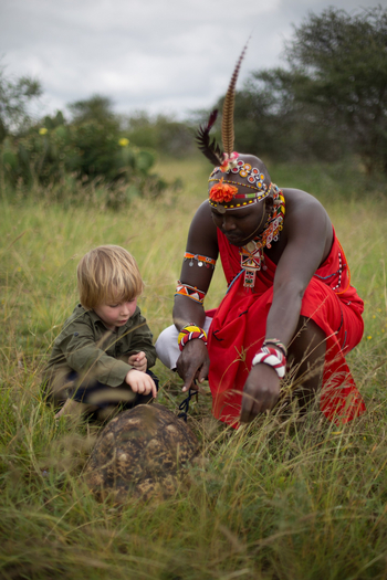 Elewana Lodo Springs: Schildkröte im Gras