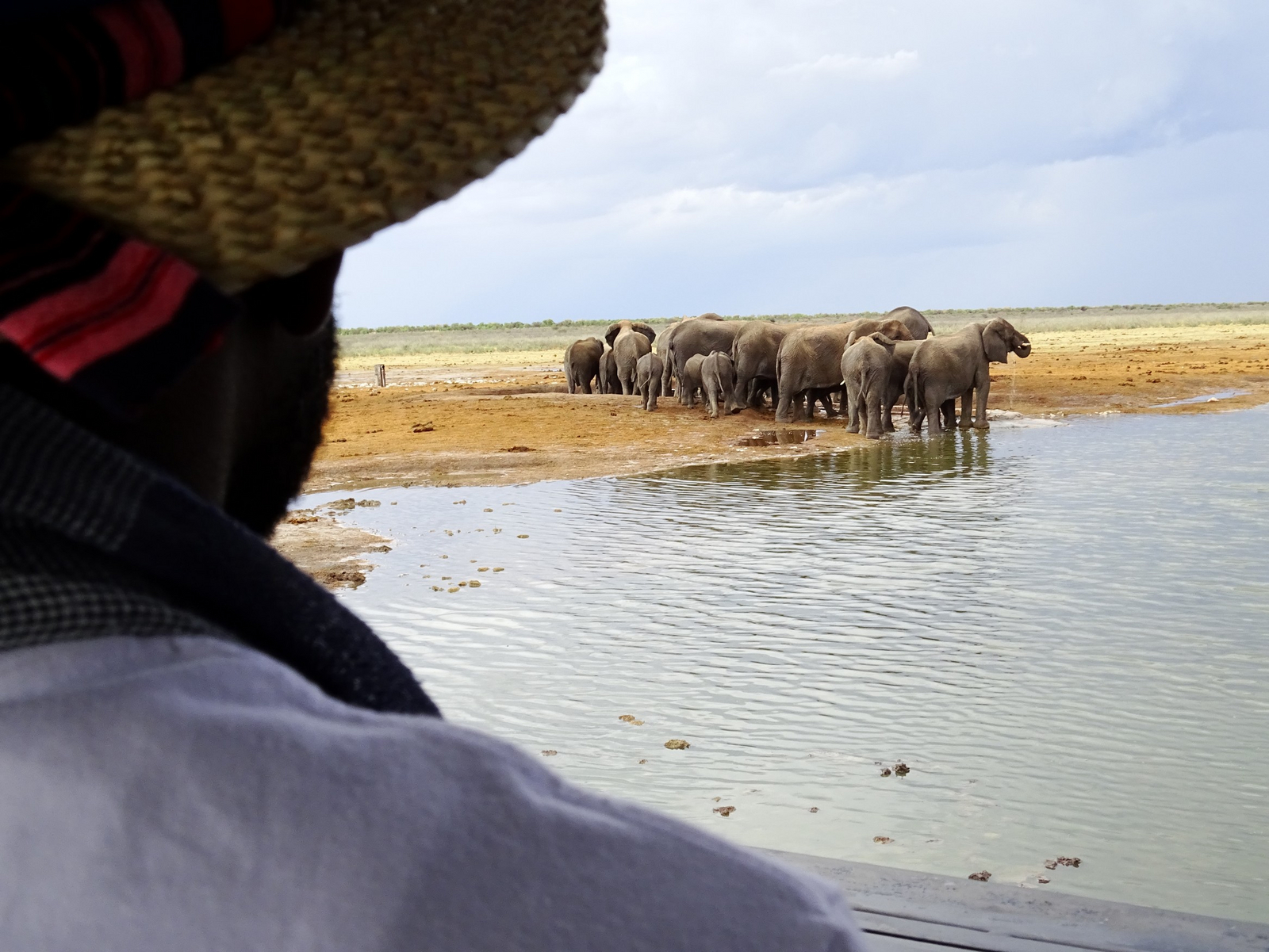 Etosha King Nehale Lodge Etosha King Nehale Lodge: Observation Hide