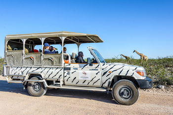 Etosha Safari Camp: Giraffensichtung