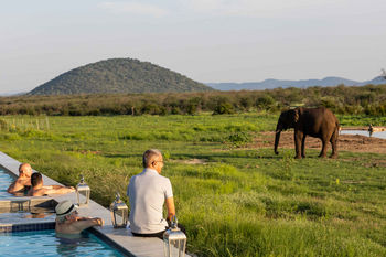 Jamala Madikwe: Gäste im Pool beobachten Elefant am Morgen